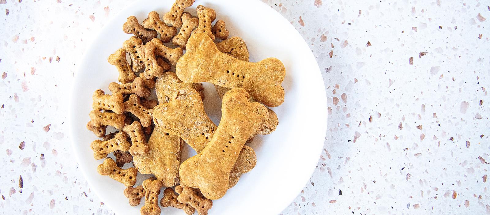 Mommy and Me: Pumpkin Dog Treats